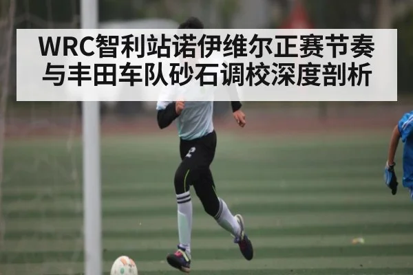 WRC智利站诺伊维尔正赛节奏与丰田车队砂石调校深度剖析